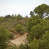 Hacia el Puig d'Agulles